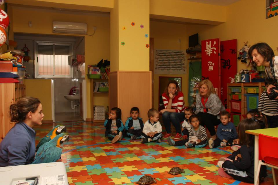 Imagen el Colegio Las Hormiguitas